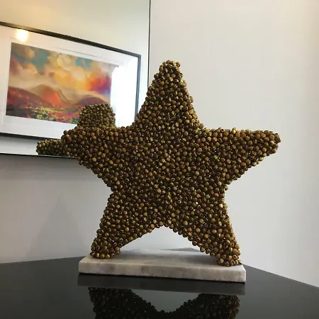 شقة Star Tree يورك